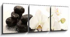 Obraz 3D tdln - 150 x 50 cm F_BM47301655 - Spa stones and orchid flowers, isolated on white.