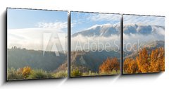 Obraz 3D tdln - 150 x 50 cm F_BM48309327 - Autunno