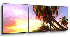 Obraz 3D tdln - 150 x 50 cm F_BM49174614 - Hawaiian paradise