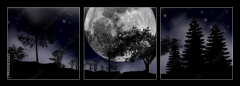 Obraz 3D třídílný - 150 x 50 cm F_BM492013525 - moon, tree and starry sky