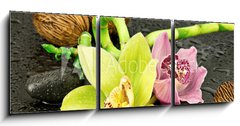 Obraz 3D třídílný - 150 x 50 cm F_BM49686637 - Orchidea