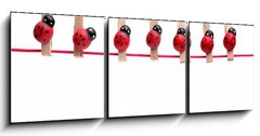 Obraz 3D tdln - 150 x 50 cm F_BM5068236 - Ladybugs pins