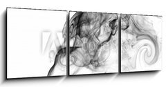 Obraz 3D tdln - 150 x 50 cm F_BM51030232 - smoke