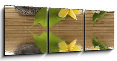Obraz 3D třídílný - 150 x 50 cm F_BM51354195 - concept dtente : bambou, galets, papillon, fleurs - koncept d tente: bambou, galety, papillon, fleurs