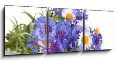 Obraz 3D tdln - 150 x 50 cm F_BM52878804 - Beautiful bouquet of cornflowers and chamomiles ,isolated