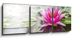 Obraz   Pink lotus, 150 x 50 cm