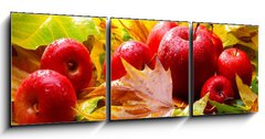 Obraz 3D tdln - 150 x 50 cm F_BM5313769 - Harvest. Autumn still life with red apples and leaves