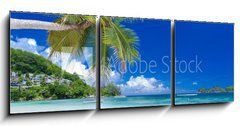 Obraz   cocotier pench sur plage des Seychelles, 150 x 50 cm
