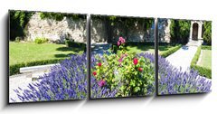 Obraz 3D tdln - 150 x 50 cm F_BM53384066 - garden in Les Baux de-Provence, Provence, France