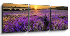 Obraz 3D tdln - 150 x 50 cm F_BM53493783 - Sunset over lavender field