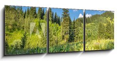 Obraz 3D tdln - 150 x 50 cm F_BM53756433 - Nature of  green trees and blue sky, near Medeo in Kazakhstan