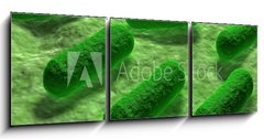 Obraz 3D třídílný - 150 x 50 cm F_BM53968782 - E coli Bacteria. - Bakterie E coli.