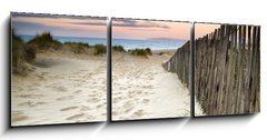 Obraz   Grassy sand dunes landscape at sunrise, 150 x 50 cm