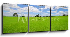 Obraz 3D tdln - 150 x 50 cm F_BM5451450 - Green on beautiful Golf Course