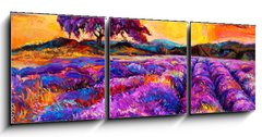 Obraz 3D tdln - 150 x 50 cm F_BM54800593 - Lavender fields