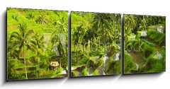 Obraz 3D tdln - 150 x 50 cm F_BM55307244 - Rice terrace - Rice terasa