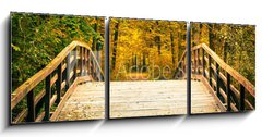 Obraz 3D tdln - 150 x 50 cm F_BM57169928 - Bridge in autumn park