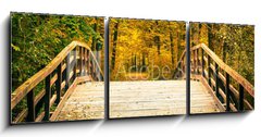 Obraz   Bridge in autumn park, 150 x 50 cm