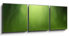 Obraz 3D třídílný - 150 x 50 cm F_BM57381095 - Spring forest background - Jarní lesní pozadí