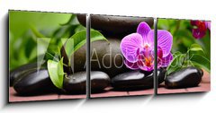 Obraz 3D tdln - 150 x 50 cm F_BM58101039 - orchid