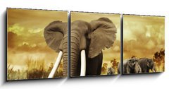 Obraz 3D tdln - 150 x 50 cm F_BM58462231 - Elephants At Sunset