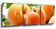 Obraz 3D tdln - 150 x 50 cm F_BM59284348 - Fresh apricots