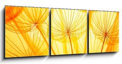 Obraz 3D tdln - 150 x 50 cm F_BM59474042 - Dandelion