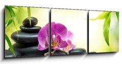 Obraz   alternative massage in bamboo garden on water, 150 x 50 cm