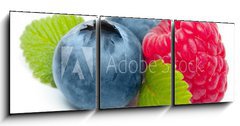Obraz 3D tdln - 150 x 50 cm F_BM60008014 - Raspberry and blueberry isolated on white background