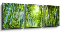 Obraz 3D tdln - 150 x 50 cm F_BM60510509 - Bamboo forest and walkway - Bambusov les a chodnk