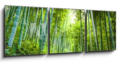 Obraz   Bamboo forest and walkway, 150 x 50 cm
