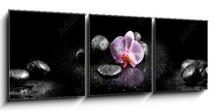 Obraz 3D třídílný - 150 x 50 cm F_BM60629892 - Horizontal panorama with pink orchids and zen stones on black ba - Horizontální panorama s růžovými orchidejemi a zenovými kameny na černé ba