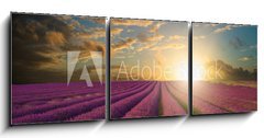 Obraz 3D třídílný - 150 x 50 cm F_BM61346445 - Vibrant Summer sunset over lavender field landscape - Vibrantní letní západ slunce nad levandule krajiny