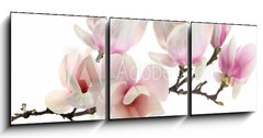 Obraz 3D tdln - 150 x 50 cm F_BM61937427 - spring