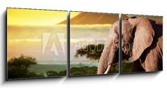 Obraz 3D tdln - 150 x 50 cm F_BM62334614 - Elephant on savanna. Mount Kilimanjaro at sunset. Safari