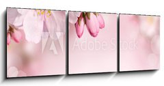 Obraz 3D tdln - 150 x 50 cm F_BM62918390 - Spring flowers background with pink blossom