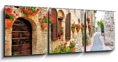 Obraz 3D tdln - 150 x 50 cm F_BM63262540 - Picturesque lane with flowers in an Italian hill town