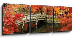 Obraz 3D tdln - 150 x 50 cm F_BM63969080 - Autumn foliage at Eikando Temple in Kyoto, Japan