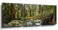 Obraz   forest waterfall, 150 x 50 cm