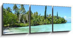 Obraz 3D tdln - 150 x 50 cm F_BM64376162 - Nouvelle caldonie