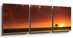 Obraz 3D tdln - 150 x 50 cm F_BM64566534 - Sunset in the agricultural areas