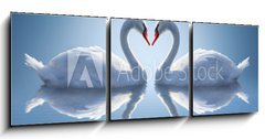Obraz 3D tdln - 150 x 50 cm F_BM64665042 - Romantic two swans,  symbol of love.