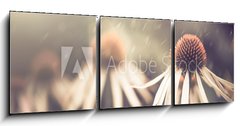 Obraz 3D tdln - 150 x 50 cm F_BM64765134 - summer flower under rain
