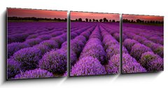Obraz 3D tdln - 150 x 50 cm F_BM64900250 - Stunning landscape with lavender field at sunset