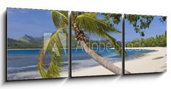 Obraz 3D tdln - 150 x 50 cm F_BM65416367 - Tropical Paradise - Fiji - South Pacific Ocean