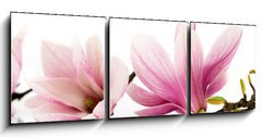 Obraz 3D tdln - 150 x 50 cm F_BM6579047 - flowers