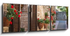 Obraz 3D tdln - 150 x 50 cm F_BM66065276 - Vicolo con fiori