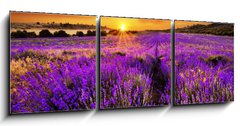 Obraz 3D tdln - 150 x 50 cm F_BM66255723 - Lavender - Levandule