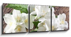 Obraz 3D tdln - 150 x 50 cm F_BM66646969 - Jasmine flowers over old wooden table.