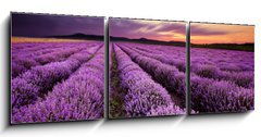 Obraz 3D tdln - 150 x 50 cm F_BM67101822 - Sunrise in Lavender Field